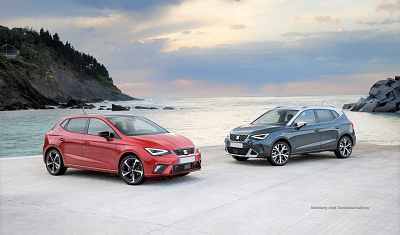 Seat Ibiza und Arona vor dem Meer, felsige Landschaft (seat)