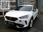 Cupra FORMENTOR 2.0 TSI DSG 4DRIVE ALLWETTERREIFEN SHZ