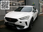 Cupra FORMENTOR VZ 2.0 TSI DSG GAR.-03/27* NAVI SITZH.