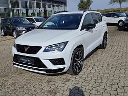 Cupra ATECA 2.0 TSI DSG 4DRIVE NAVI SITZH. AHZ EPH Bildbeschreibung: Cupra ATECA 2.0 TSI DSG 4DRIVE NAVI SITZH. AHZ EPH