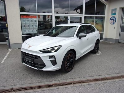 Cupra TERRAMAR 2.0 TSI DSG 4DRIVE, CO2-Klasse: G, AHZV STANDHEIZ. NAVI Cupra TERRAMAR 2.0 TSI DSG 4DRIVE, CO2-Klasse: G, AHZV STANDHEIZ. NAVI