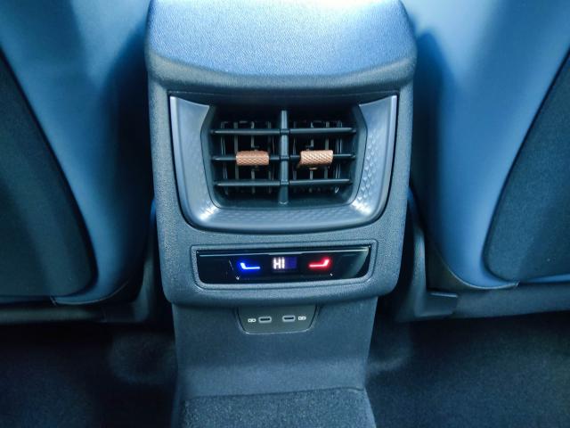 Cupra TERRAMAR 2.0 TSI DSG 4DRIVE, CO2-Klasse: F, NAVI MATRIX-LED AHZV Bildbeschreibung: Cupra TERRAMAR 2.0 TSI DSG 4DRIVE, CO2-Klasse: F, NAVI MATRIX-LED AHZV