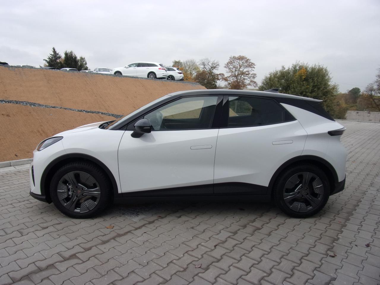 Cupra RAVAL 0.0 PLUS, CO2-Klasse: A, NAVI SITZH. AHZV-VORBER. Bildbeschreibung: Cupra RAVAL 0.0 PLUS, CO2-Klasse: A, NAVI SITZH. AHZV-VORBER.